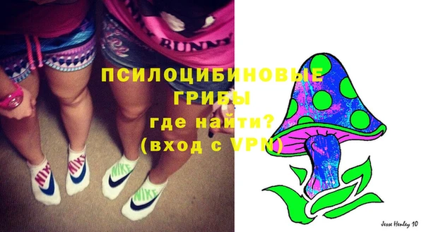 СК Аркадак