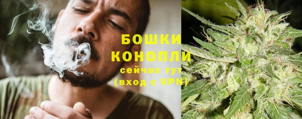 СК Аркадак