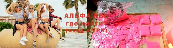 СК Аркадак
