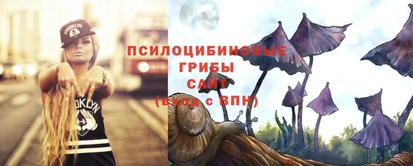 кокс Армянск