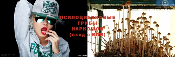СК Аркадак